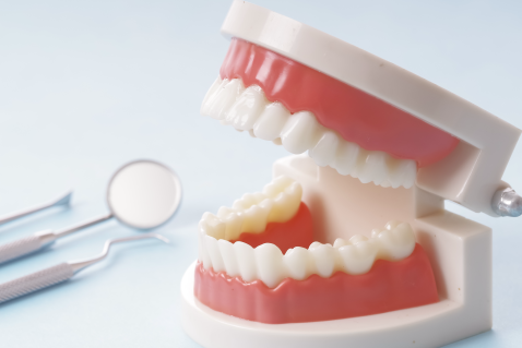 無料の歯医者さん体験イベント